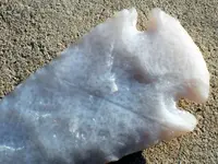 SDC10589.webp