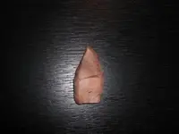 CIMG1234.webp