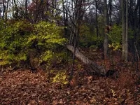 just another pretty picture.webp