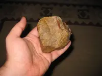 core (3).webp