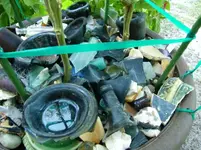 000_0009.webp