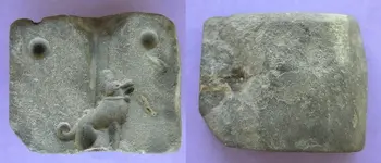 Dog mold.webp