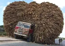 overload3.webp