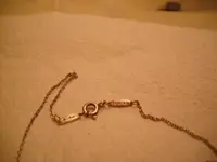 DSCF0007.webp
