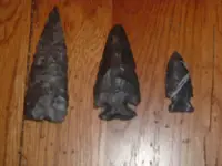 DSCF0977.webp