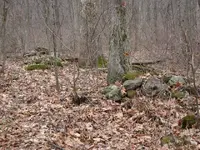 indian grave.webp