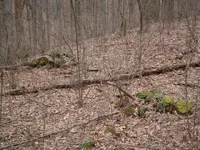 indian grave 2.webp