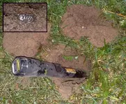 Ring 1 in dirt.webp