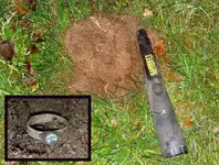 Ring 4 in the plug.webp