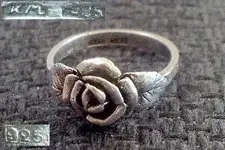 Ring 1.webp