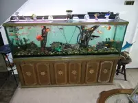 000_0001.webp