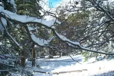 Idyllwild.webp