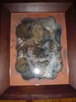 CIMG1423.webp