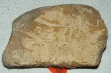MORE ROCKS 001.webp