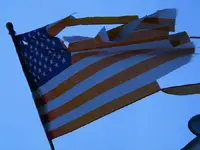 wind damaged glory.webp