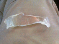 fish1.GIF