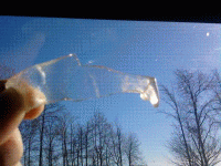 fish4.GIF