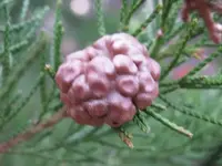 110809 132.webp