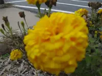 110809 138.webp