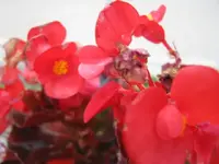110809 141.webp