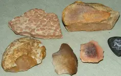 ARTIFACTS COLLECTION 229.webp