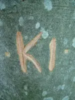 KI carving 09.webp