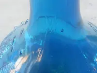 2009_0928blueonionbottle0061.webp