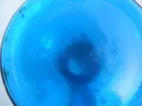 2009_0928blueonionbottle0064.webp