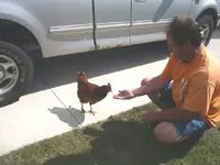 9-16 FFD and HEN.webp