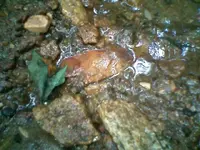 !cid__0928091451.webp