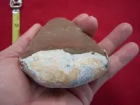 DSCN0366.webp