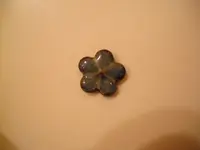 DSCF0005.webp