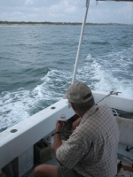 3.gif