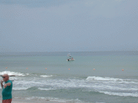 5.gif