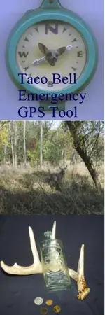 Grove1021.webp