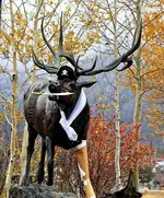 pirateelk.webp