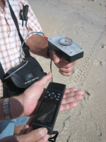 8.gif