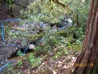 up stream.webp