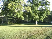 IMG_1551.webp