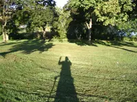 IMG_1550.webp