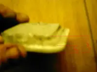 x.webp