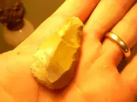 DSCN0006.webp