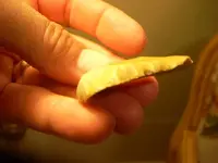 DSCN0007.webp