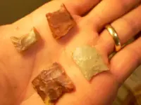 DSCN0008.webp