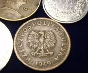49POLSKA.webp