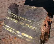DSCF0011.webp
