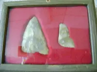 DSC00046.webp