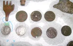 sept finds 009.webp
