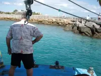 capt dom.webp