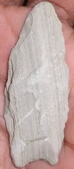 CLOVIS 002.webp